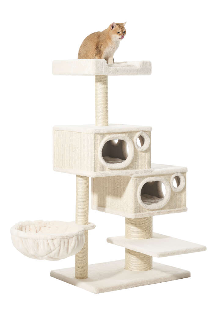 Nobby Kratzbaum Binka